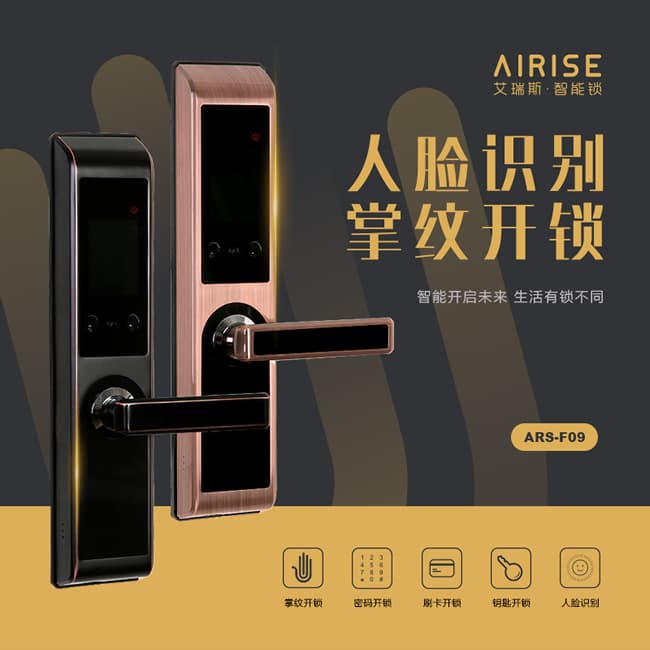 艾瑞斯_艾瑞斯智能锁 人脸识别智能锁 家用防盗密码锁